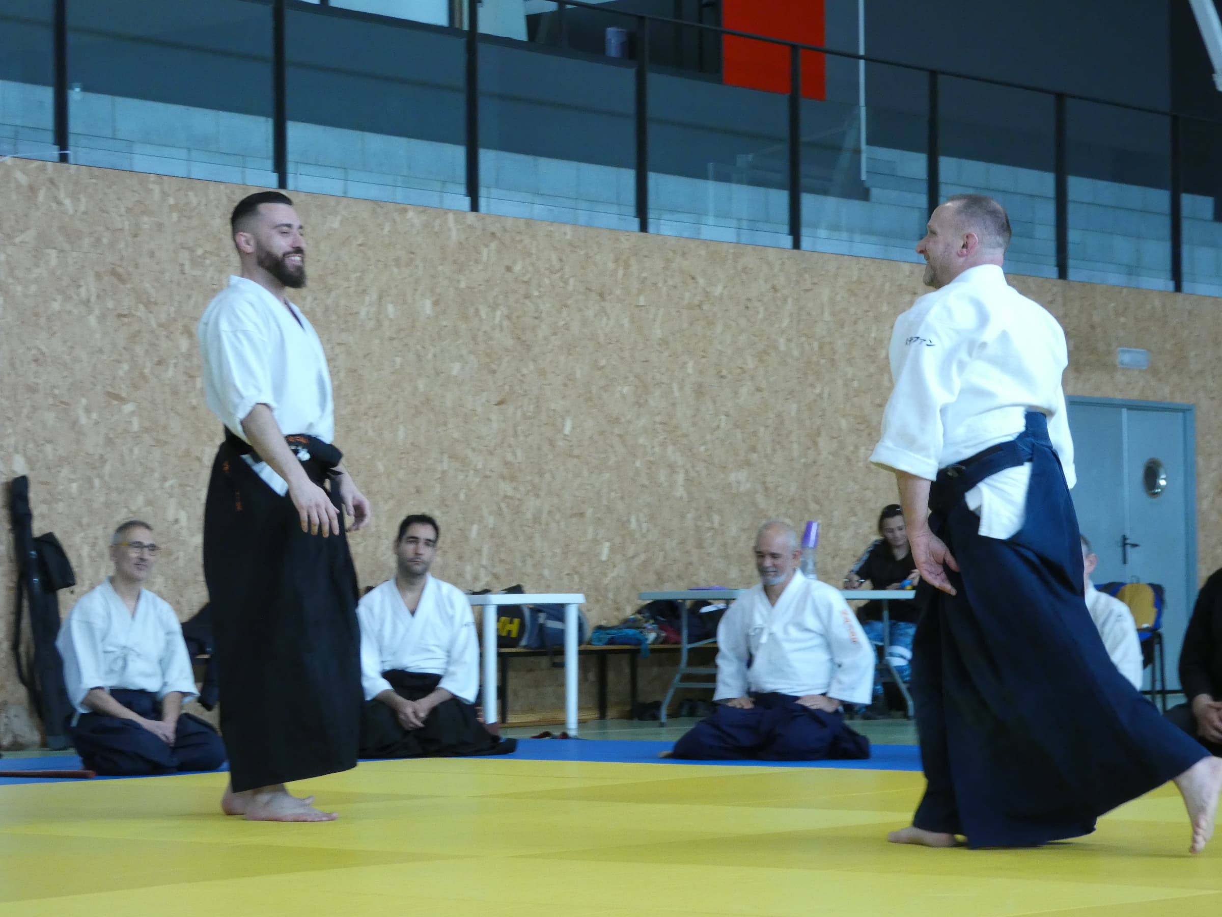 Dojo Aikido Ikigai Valdetorres de Jarama