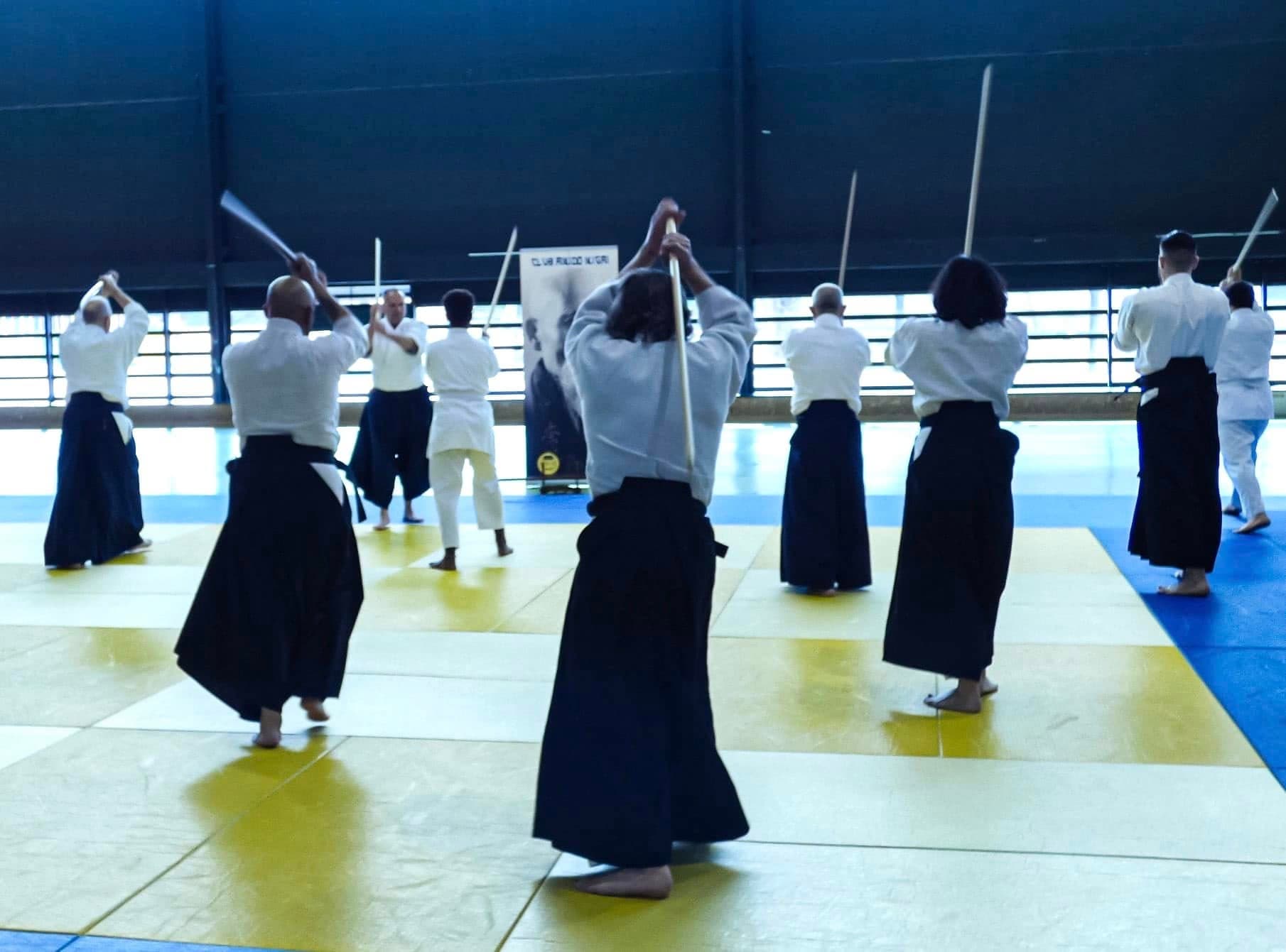 Dojo Central Aikido Ikigai Alcobendas